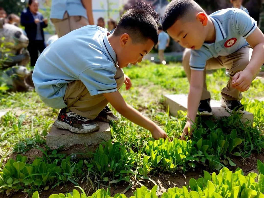 【預(yù)?成長】那些屬于我們的時光 ——石家莊私立一中附小預(yù)科部時光故事